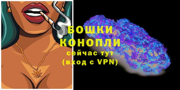 2c-b Снежногорск
