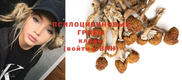 эйфоретик Белоозёрский